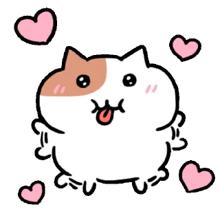 Jjonnyami Is a Fat Cat Daily Reactions