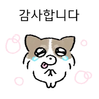 Kakao Talk Cute Friends Vol 8642 Reactions