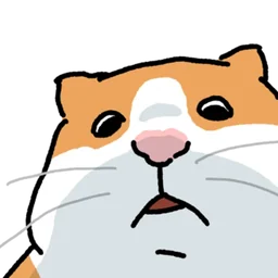 Cat Zoom 3 Cute Reactions