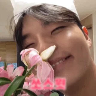 Mrs Kim Dong-geum and Fireworks Son Jae-won Jo 2 Daily Reactions