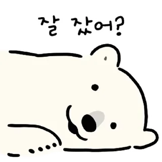 Lovely Polar Bear Cute Reactions