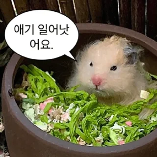 Kakao Talk Cute Friends Vol 4630 Reactions
