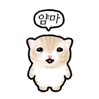 It's Small Gomyeongi Daily Reactions