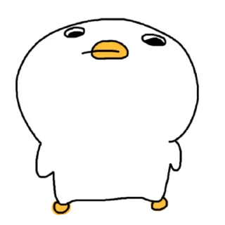 Chio Squawk Duck Daily Reactions