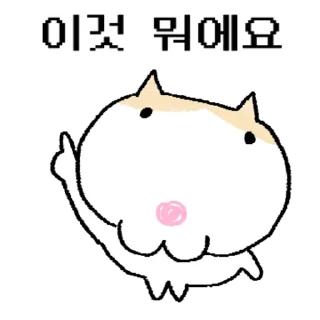 King Daegulcat Cute Reactions
