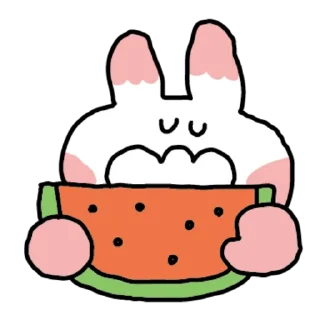 Summer Jwisuni Cute Reactions