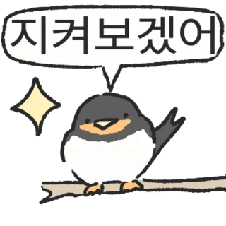 Jijibaebae Jebijebi Cute Reactions