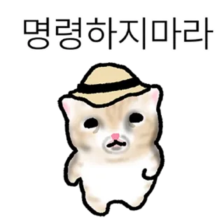 Kakao Talk Cute Friends Vol 8602 Reactions