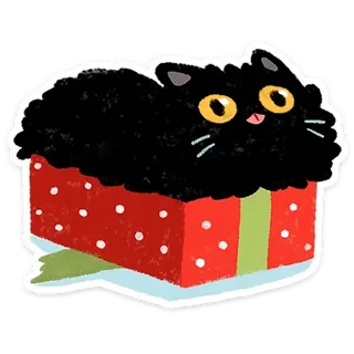 Black Cat Kefir