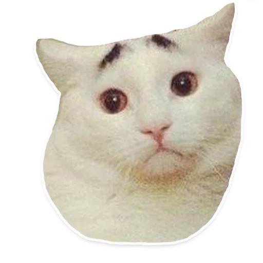Kitani Stickers Telegram Sticker #18 - Kitani Stickers #18
