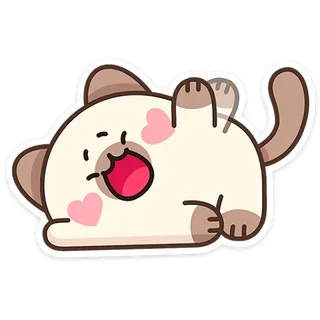 Kitty