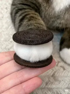 Oreo Cat