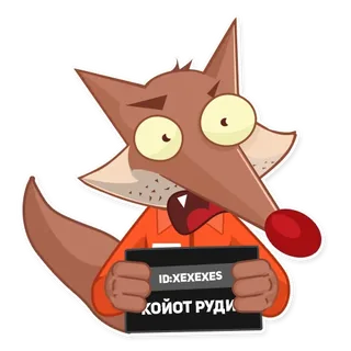 Coyote