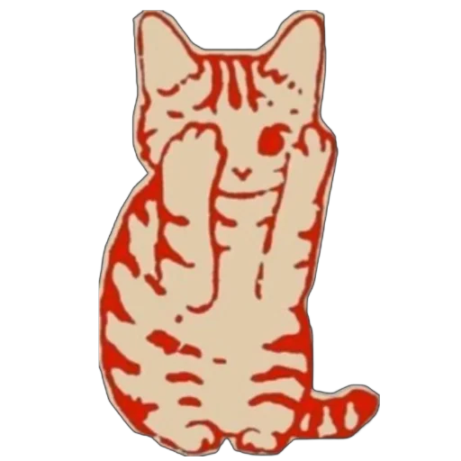 Shy Cat