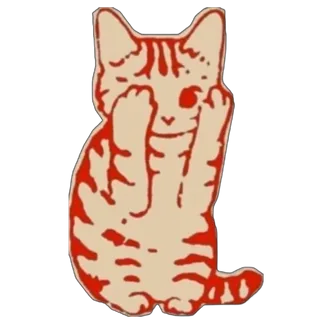 Shy Cat