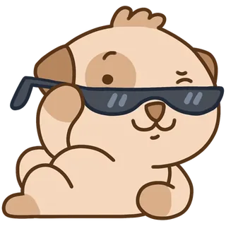 Cooper the Bear