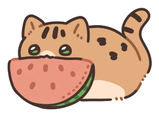 Summer Cat Sanmi