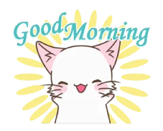 Hello White Cat