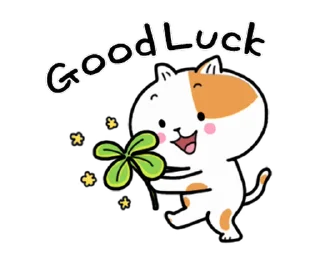 Lucky Calico Cat