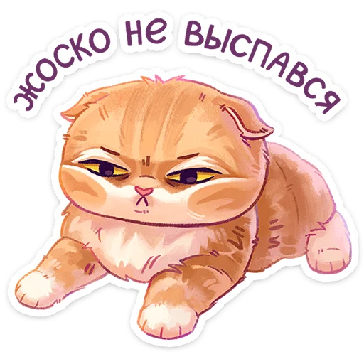 Meows Telegram Sticker #5 - Meows #5