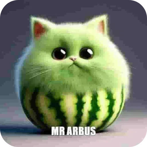 Watermelon Cat Telegram Sticker #1 - Watermelon Cat #1