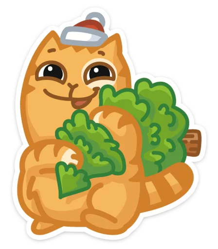 New Year's Persik Cat