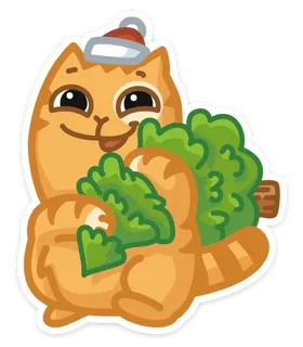 New Year's Persik Cat