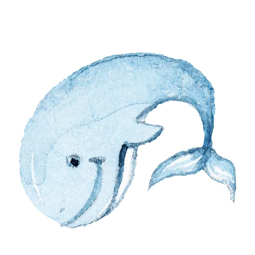 Our Wonderfull Ocean Telegram Sticker #3 - Our Wonderfull Ocean #3