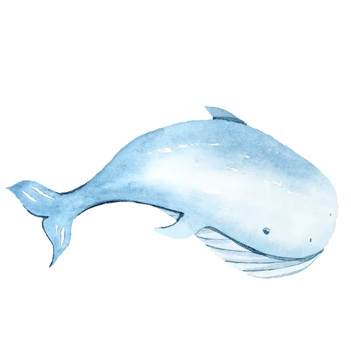 Our Wonderfull Ocean Telegram Sticker #5 - Our Wonderfull Ocean #5