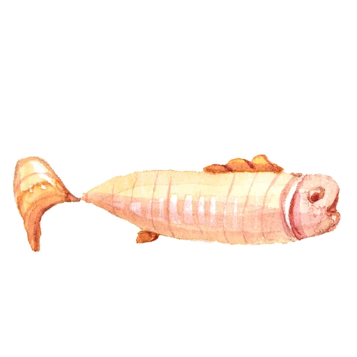 Our Wonderfull Ocean Telegram Sticker #6 - Our Wonderfull Ocean #6