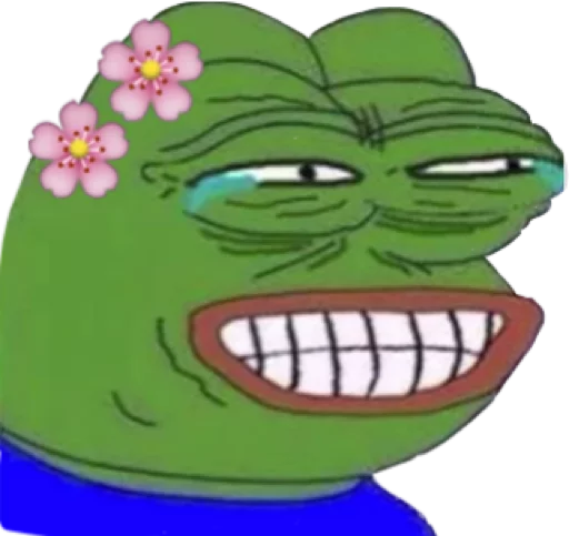 Pepe Frog Meme