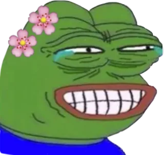 Pepe Frog Meme