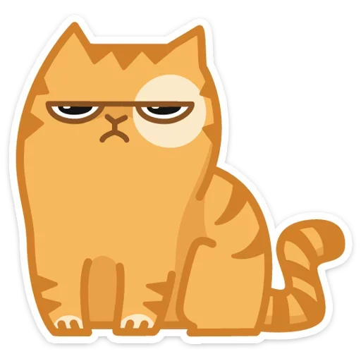Grumpy Orange Cat Persik