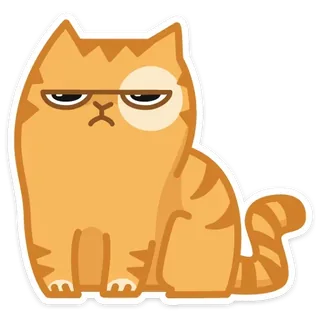 Grumpy Orange Cat Persik