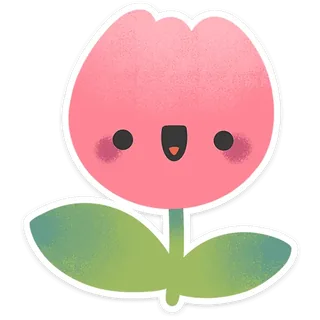 Little Tulip Pashka
