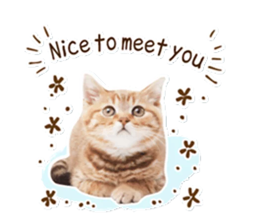 Picneko Mm Stickers Telegram Sticker #11 - Picneko Mm Stickers #11