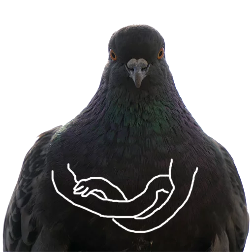 Pigeons With Hands Telegram Sticker #1 - Pigeons With Hands #1