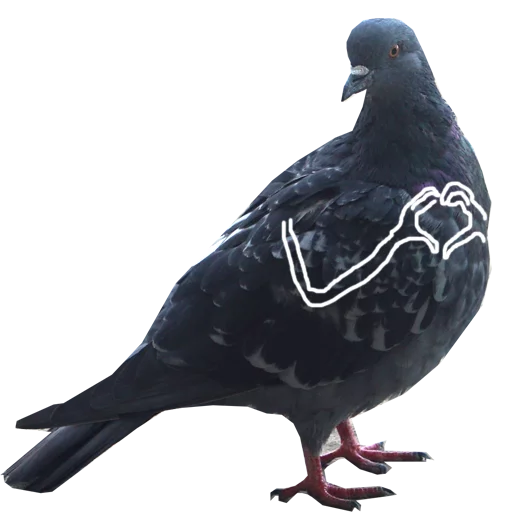 Pigeons With Hands Telegram Sticker #3 - Pigeons With Hands #3