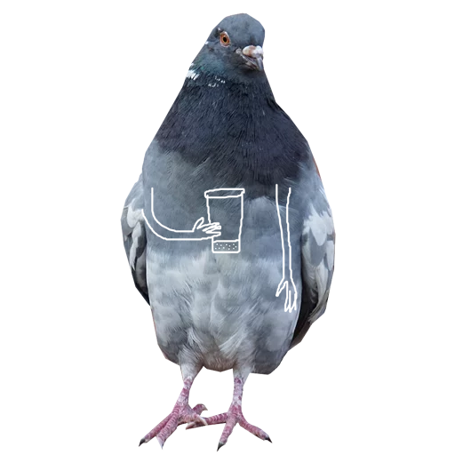 Pigeons With Hands Telegram Sticker #8 - Pigeons With Hands #8