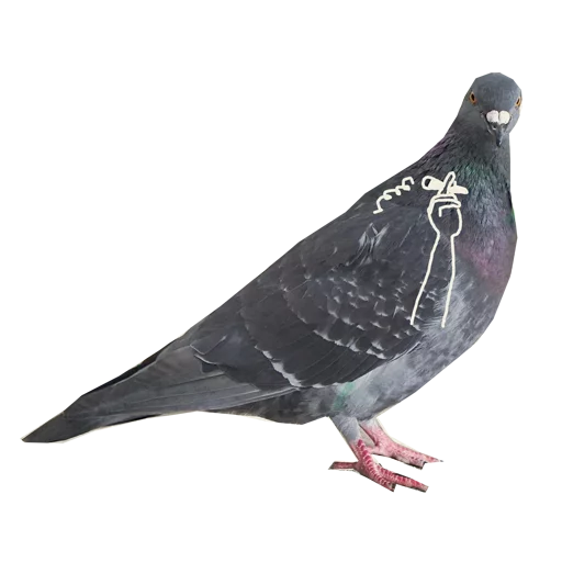 Pigeons With Hands Telegram Sticker #9 - Pigeons With Hands #9