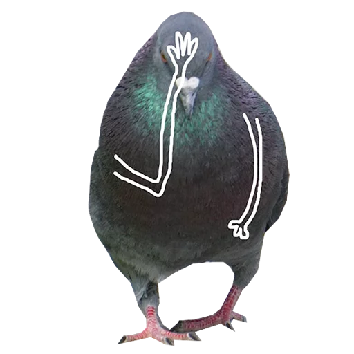 Pigeons With Hands Telegram Sticker #10 - Pigeons With Hands #10