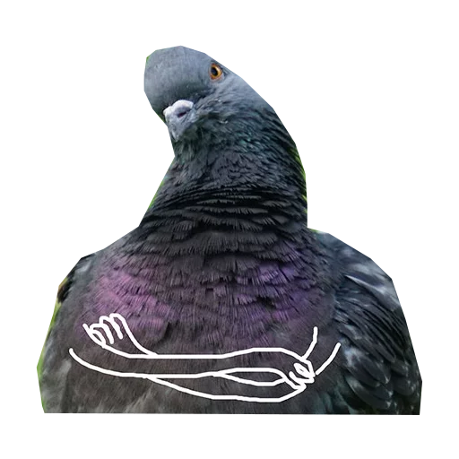 Pigeons With Hands Telegram Sticker #12 - Pigeons With Hands #12