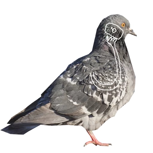 Pigeons With Hands Telegram Sticker #14 - Pigeons With Hands #14
