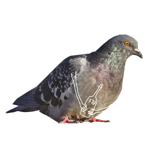 Pigeons With Hands Telegram Sticker #15 - Pigeons With Hands #15