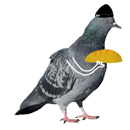 Pigeons With Hands Telegram Sticker #18 - Pigeons With Hands #18