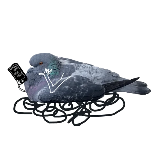 Pigeons With Hands Telegram Sticker #19 - Pigeons With Hands #19