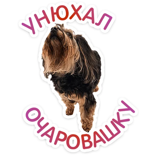 Pups Telegram Sticker #12 - Pups #12