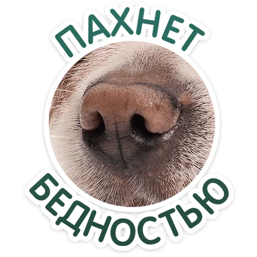 Pups Telegram Sticker #14 - Pups #14