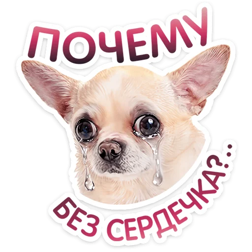 Pups Telegram Sticker #16 - Pups #16