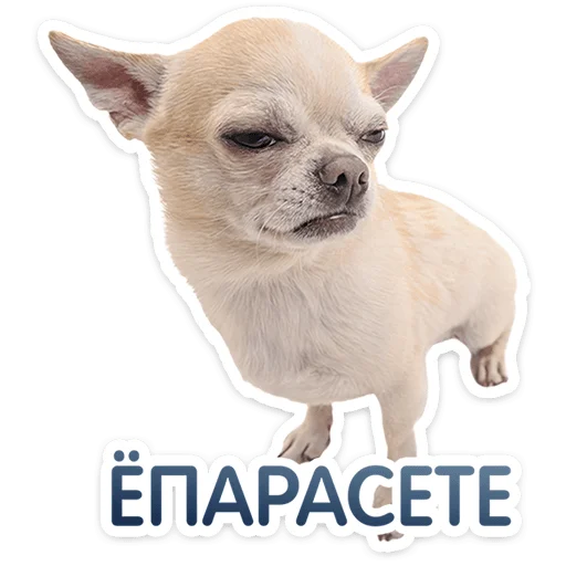Pups Telegram Sticker #18 - Pups #18